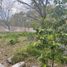  Land for sale in Parras, Coahuila, Parras