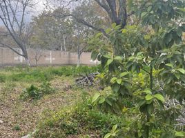  Grundstück zu verkaufen in Parras, Coahuila, Parras