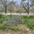  Land for sale in Parras, Coahuila, Parras