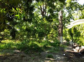  Grundstück zu verkaufen in Parras, Coahuila, Parras