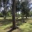  Land for sale in General Pueyrredon, Buenos Aires, General Pueyrredon