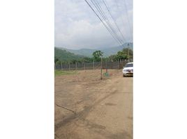  Terreno (Parcela) en venta en Palmira, Valle Del Cauca, Palmira