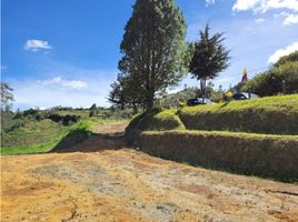  Terreno (Parcela) en venta en Guarne, Antioquia, Guarne