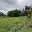  Land for sale in Guarne, Antioquia, Guarne