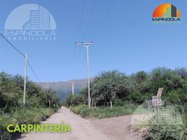  Terreno (Parcela) en venta en Junin, San Luis, Junin