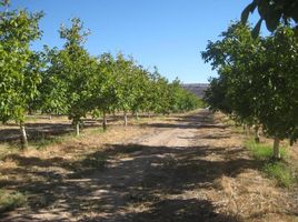  Terrain for sale in Calingasta, San Juan, Calingasta