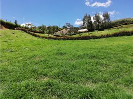  Land for sale in El Carmen De Viboral, Antioquia, El Carmen De Viboral