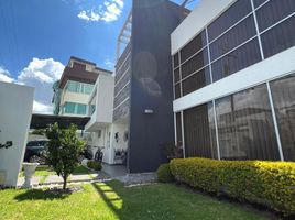 3 Habitación Casa en venta en Bicentenario Park, Quito, Quito, Quito