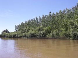  Terreno (Parcela) en venta en San Fernando 1, Buenos Aires, San Fernando 1