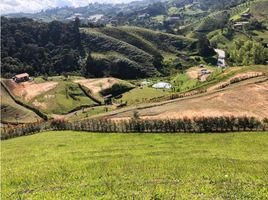  Grundstück zu verkaufen in Marinilla, Antioquia, Marinilla, Antioquia, Kolumbien