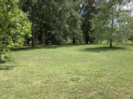  Land for sale in La Plata, Buenos Aires, La Plata