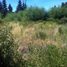  Land for sale in Rio Negro, Bariloche, Rio Negro