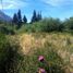  Land for sale in Rio Negro, Bariloche, Rio Negro