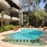 2 Bedroom Apartment for rent in Cozumel, Quintana Roo, Cozumel, Quintana Roo