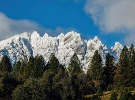  Terrain for sale in Chubut, Cushamen, Chubut