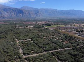  Terreno (Parcela) en venta en Cafayate, Salta, Cafayate