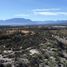  Terreno (Parcela) en venta en Cafayate, Salta, Cafayate