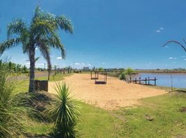  Land for sale in La Plata, Buenos Aires, La Plata