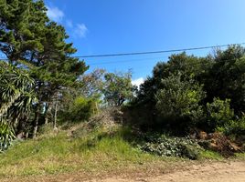  Land for sale in Pinamar, Buenos Aires, Pinamar