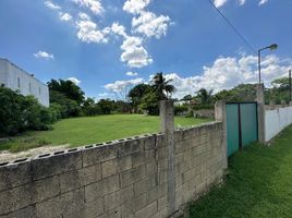  Grundstück zu verkaufen in Conkal, Yucatan, Conkal