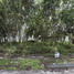  Land for sale in Tixpehual, Yucatan, Tixpehual