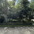  Land for sale in Tixpehual, Yucatan, Tixpehual