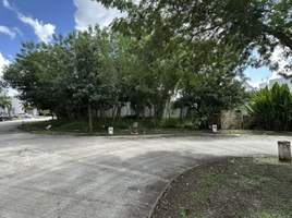  Land for sale in Tixpehual, Yucatan, Tixpehual