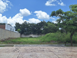 Terrain à vendre à Yaxkukul, Yucatan, Yaxkukul