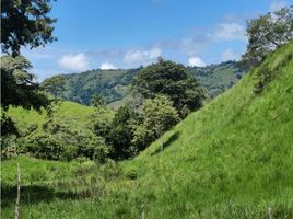 Studio Villa zu verkaufen in Renacimiento, Chiriqui, Canas Gordas, Renacimiento