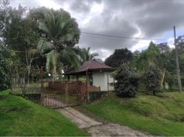 Studio House for sale in Bugaba, Chiriqui, Santo Domingo, Bugaba