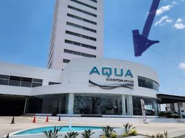 40 m² Office for rent in FazWaz.de, Queretaro, Queretaro, Mexiko