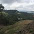  Land for sale in Envigado, Antioquia, Envigado