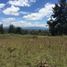 Terrain à vendre à Rionegro, Antioquia, Rionegro, Antioquia