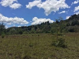 Terrain à vendre à Rionegro, Antioquia, Rionegro, Antioquia