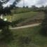  Land for sale in Rionegro, Antioquia, Rionegro, Antioquia