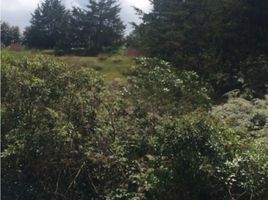  Land for sale in Rionegro, Antioquia, Rionegro, Antioquia