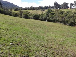  Terreno (Parcela) en venta en Zipaquira, Cundinamarca, Zipaquira