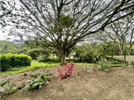  Land for sale in Cartago, Valle Del Cauca, Cartago