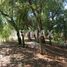  Land for sale in Allende, Nuevo Leon, Allende