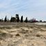  Terreno (Parcela) en venta en Pachuca De Soto, Hidalgo, Pachuca De Soto, Hidalgo