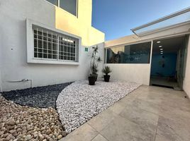 Studio House for rent in Mexico, Toluca, Mexico, Mexico