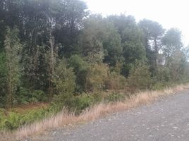  Terreno (Parcela) en venta en Puerto Montt, Llanquihue, Puerto Montt