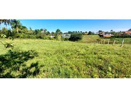  Terreno (Parcela) en venta en Pereira, Risaralda, Pereira