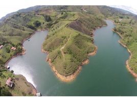  Land for sale in El Tambo, Narino, El Tambo