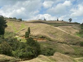 Estudio Casa en venta en La Union De Sucre, Antioquia, La Union De Sucre