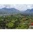  Land for sale in Marmato, Caldas, Marmato