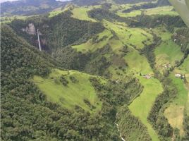  Terreno (Parcela) en venta en Manizales, Caldas, Manizales