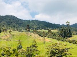  Grundstück zu verkaufen in Envigado, Antioquia, Envigado