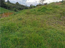  Terreno (Parcela) en venta en Marinilla, Antioquia, Marinilla