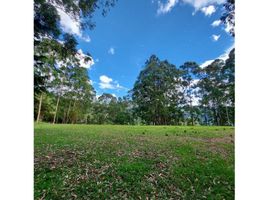  Terreno (Parcela) en venta en Envigado, Antioquia, Envigado